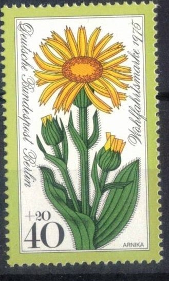 Beneficiencia: Flores alpinas - Arnica. 