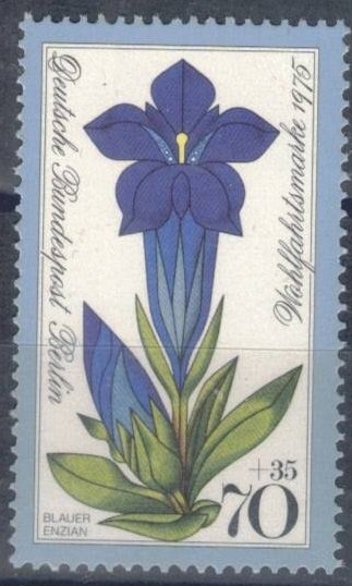 Beneficiencia: Flores alpinas - Hierba de San Ladislao. 