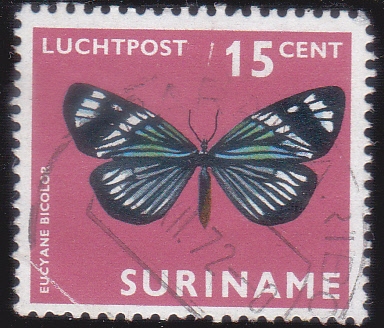 Mariposa