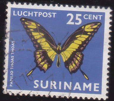 Mariposa