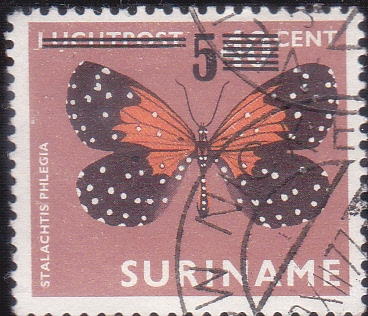 Mariposa