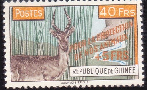 protecci�n de los animales