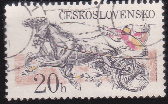carrera de caballos