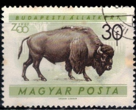 Zoo de Budapest.