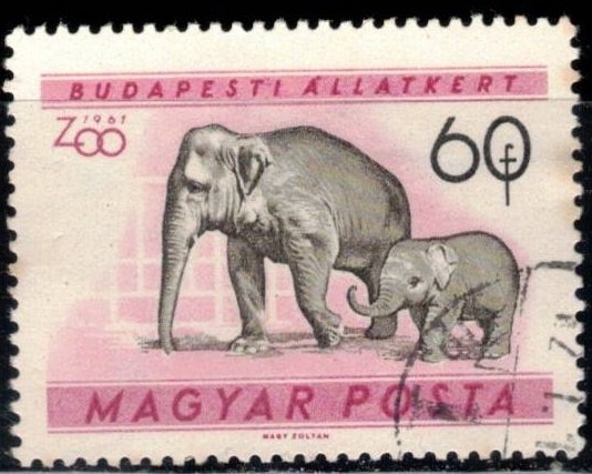 Zoo de Budapest.