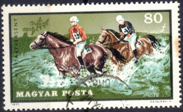 Deportes ecuestres. 