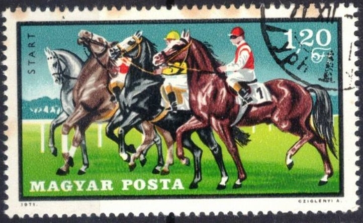Deportes ecuestres. 
