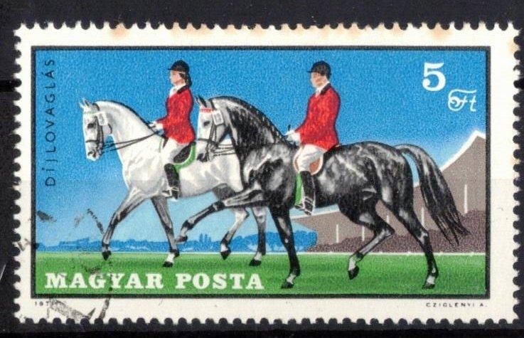 Deportes ecuestres. 