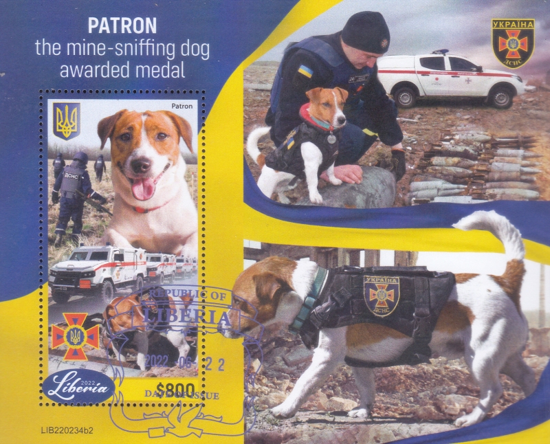 perro detector de minas recibi� una medalla