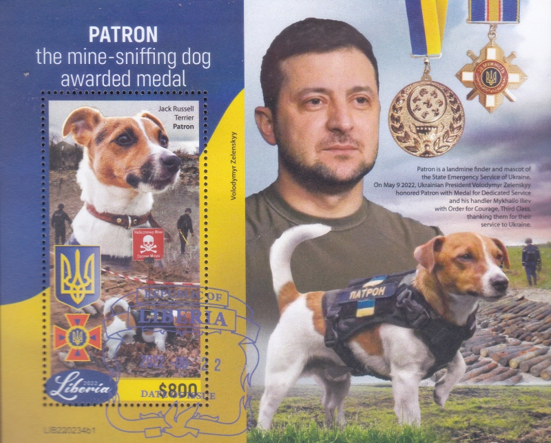 perro detector de minas recibi� una medalla