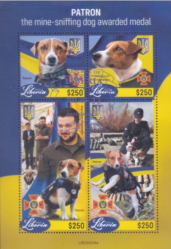 perro detector de minas recibi� una medalla