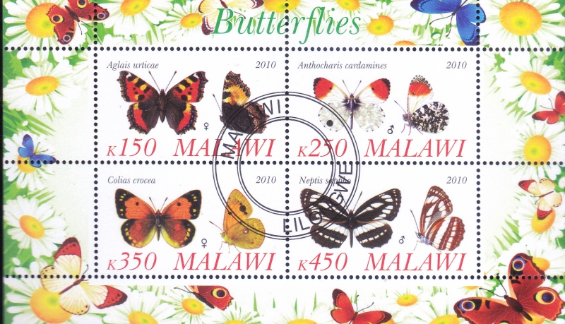 MARIPOSAS