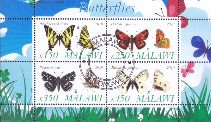 MARIPOSAS