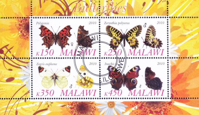 MARIPOSAS