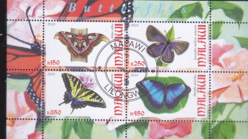 MARIPOSAS