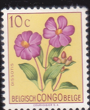 FLORES