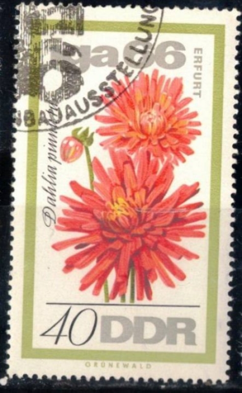 Exposici�n de jardines IGA, Erfurt.