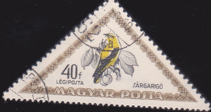 AVE- SARGARIGO