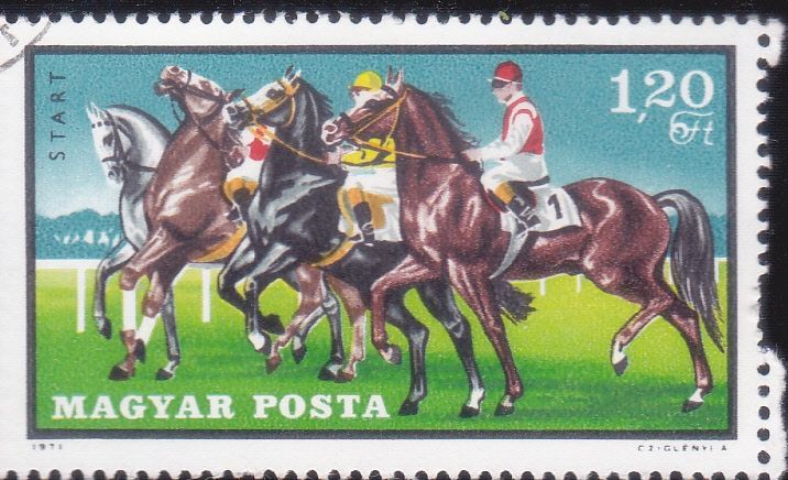 carrera de caballos