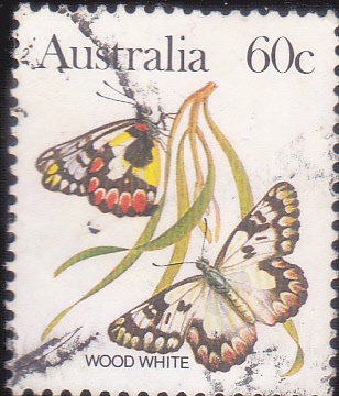 MARIPOSAS