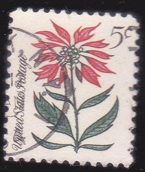 FLORES