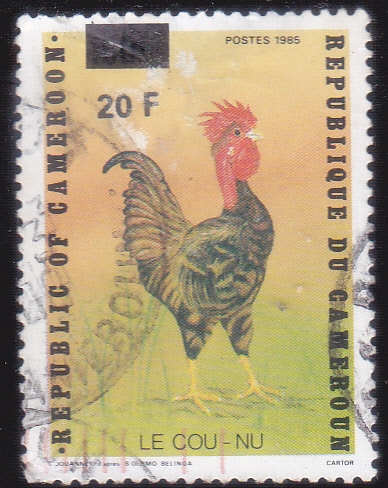 gallo
