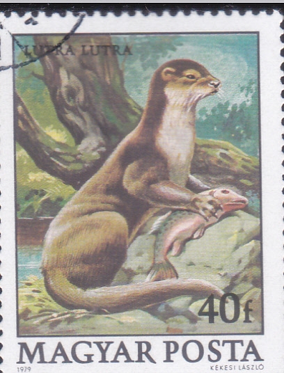 NUTRIA