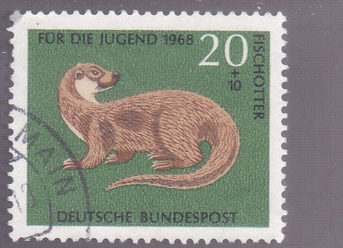 nutria