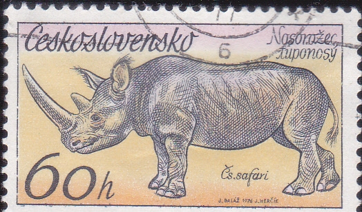 RINOCERONTE