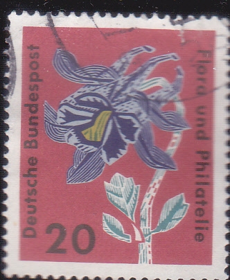 FLOR