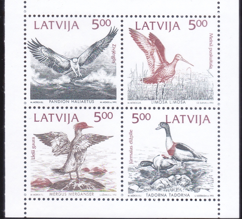 AVES