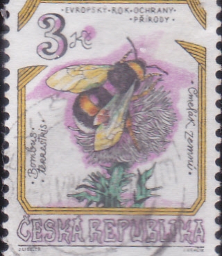ABEJA