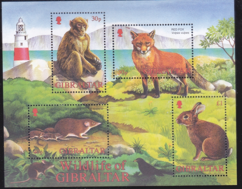 FAUNA
