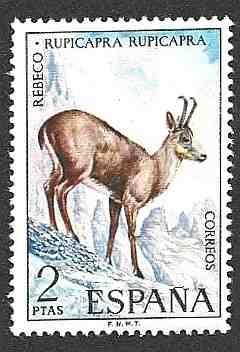 Fauna Española