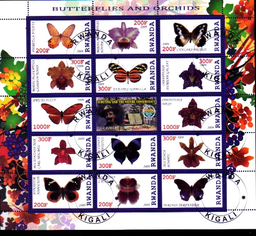 MARIPOSAS Y ORQUIDIAS