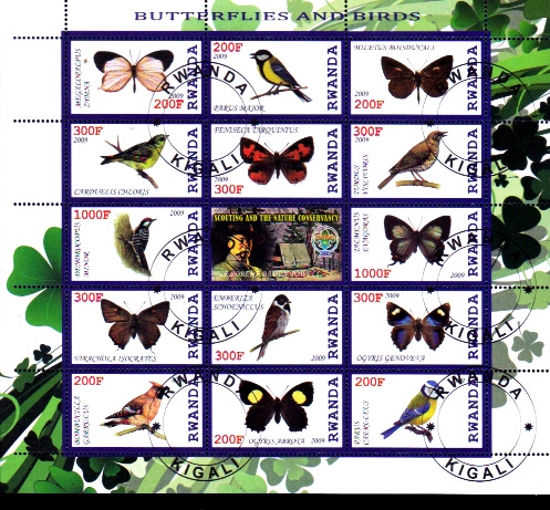 MARIPOSAS Y AVES