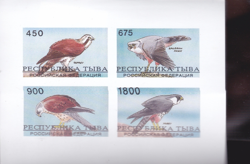 AVES RAPACES