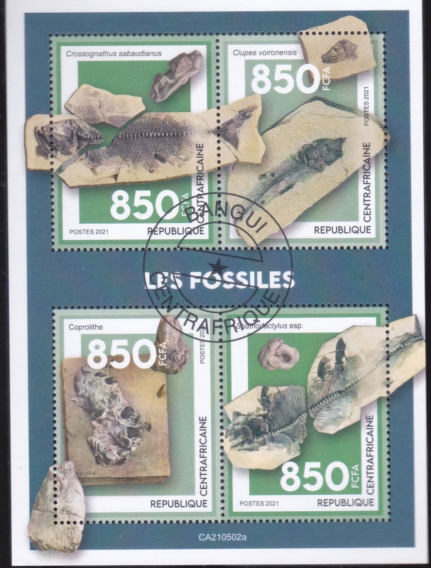 FOSILES