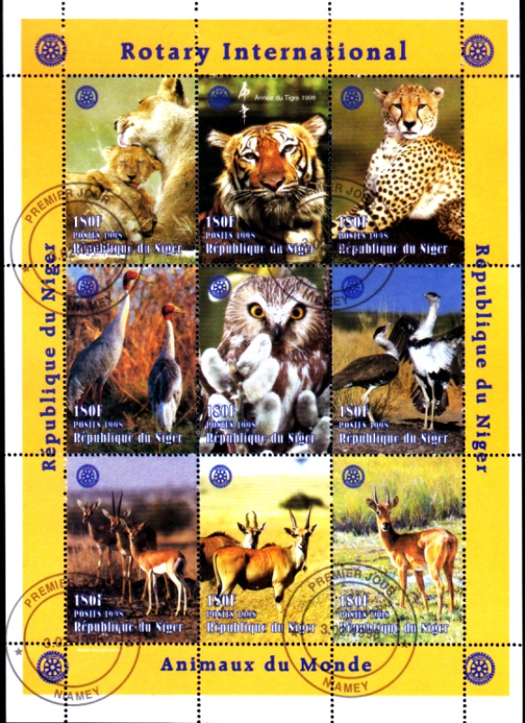 ANIMALES DEL MUNDO