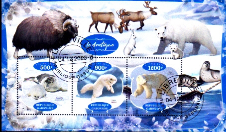FAUNA DE LA ANTARTIDA