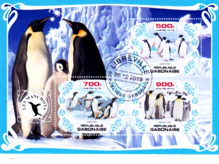 LOS PINGÜINOS