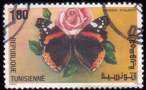 MARIPOSA