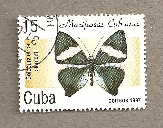 Mariposa Colobura circe