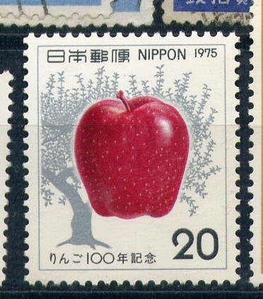 100 años de la introducción de la manzana en Japon