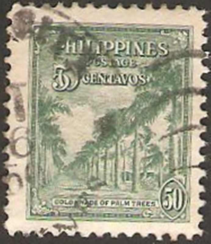 palmeras