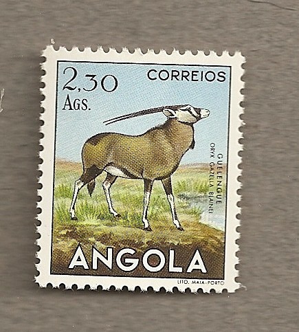 Gacela Oryx