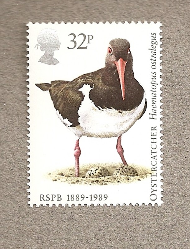 100 Aniv de la Sociedad Protectora de Aves