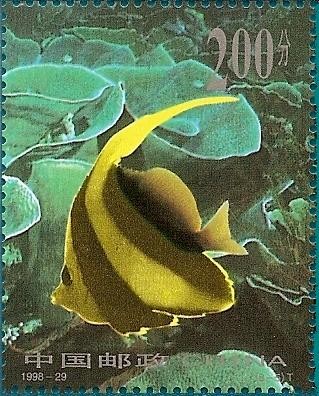 peces tropicales