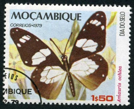 Mariposas