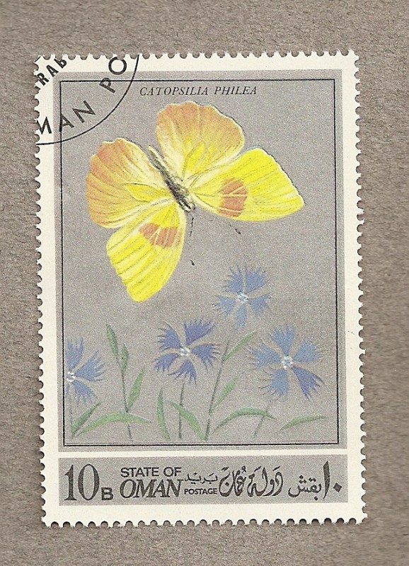 Mariposa Captosilia philea